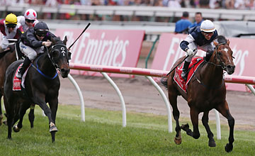 Green Moon foi o campeão da famosa e milionária Melbourne Cup (G1)