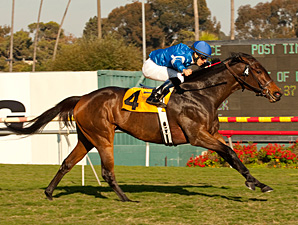 Better Lucky surpreende no tradicional Matriarch Stakes (G1)