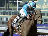 Com Fort Larned e Calidoscopio, duas grandes linhas maternas argentinas brilharam na Breeder’s Cup