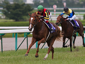 Já decididos os jóqueis e as balizas da Japan Cup (G1)