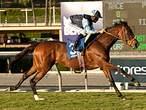 No primeiro Goldikova Stakes (G2), em Santa Anita, Rhythm of Light foi a heroina