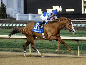 Shackelford venceu o Clark Handicap (G1)