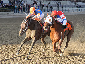 Stay Thirsty derrota Groupie Doll no Cigar Mile Handicap (G1)