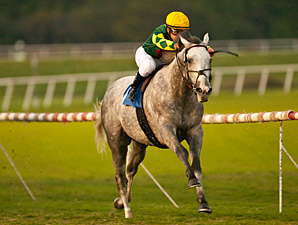 E no Hollywood Derby (G1), Unbridled Command impressiona