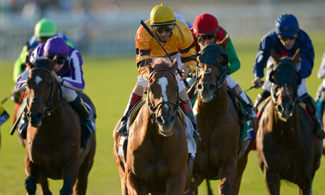 Animal Kingdom, filho do brasileiro Leroidesanimaux, conquista ótimo segundo no BC Mile (G1)