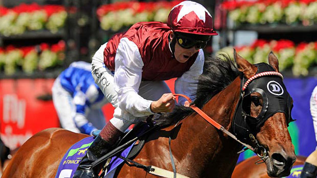 Na festa de hoje em Flemington, o Patinack Farm Classic (G1) foi de Mental