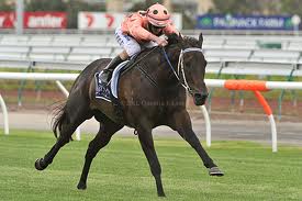 Black Caviar é agora nome de prova de G1