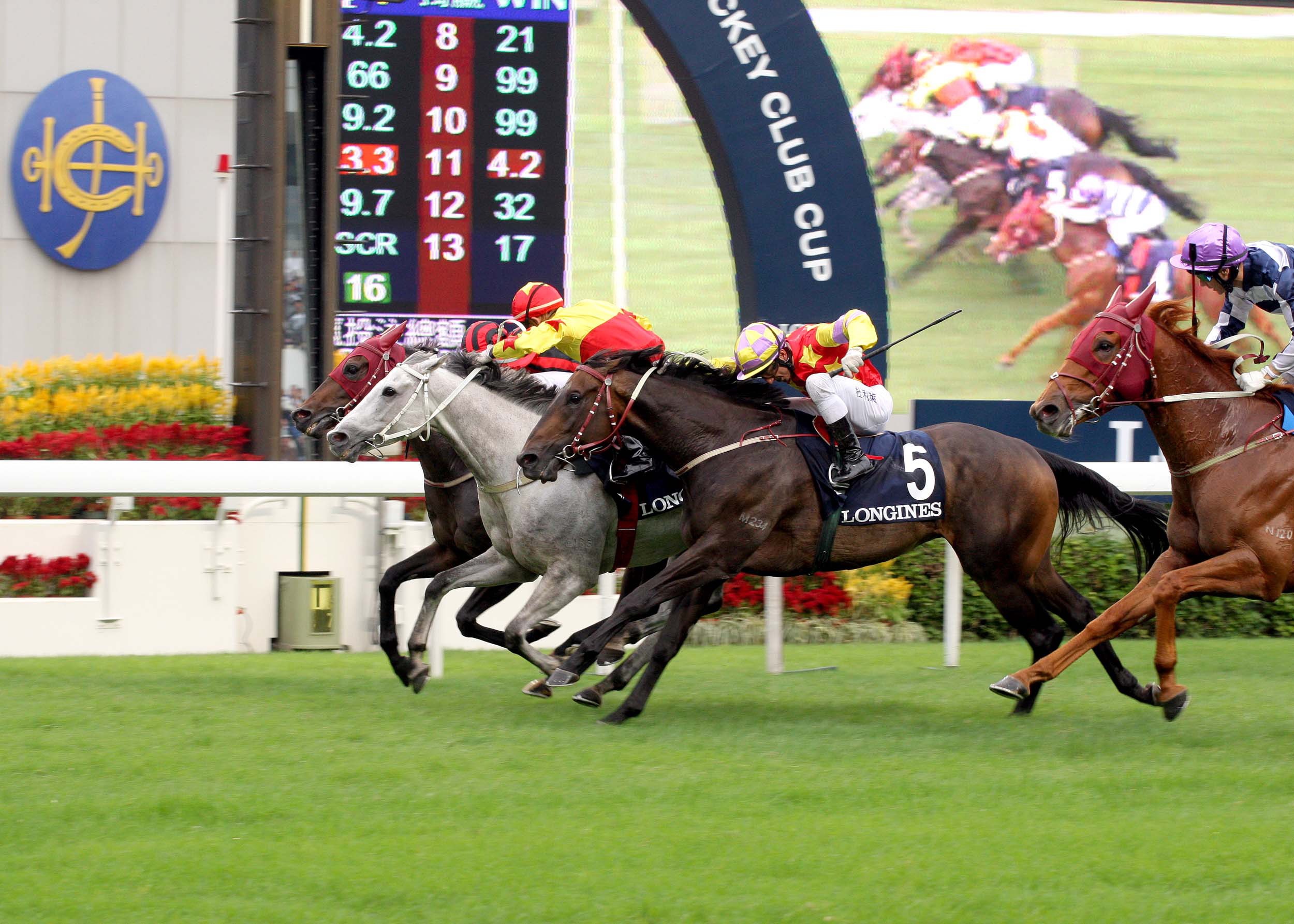 Em Hong Kong, o meeting preparatório para a festa da Hong Kong Cup (G1)