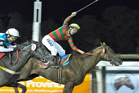 Comemorando os 130 anos da cidade de La Plata, Gran Enzo venceu o Gran Premio Dardo Rocha (G1)