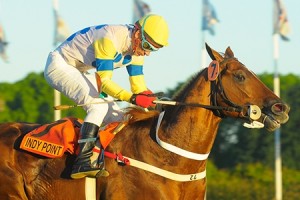 Sábado em Palermo, a festa do Derby argentino, o Gran Premio Nacional (G1)