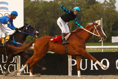 Brasileiro criação do Haras das Estrelas levanta o Nacional uruguaio