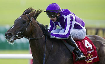 Camelot, Joseph e Aidan O’Brien são premiados na Irlanda