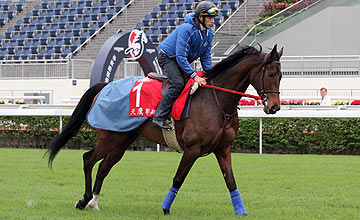 Definidos os campos do Festival de Hong Kong, com a ausência da grande estrela Cirrus des Aigles