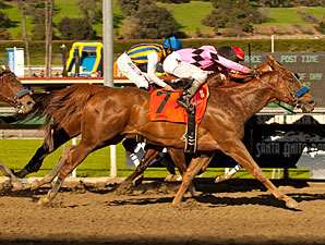 Book Review foi a grande surpresa no La Brea Stakes (G1), em Santa Anita