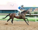 Divulgado o ranking atualizado para o Kentucky Derby