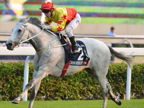 California Memory é o bicampeão da milionária Hong Kong Cup (G1)