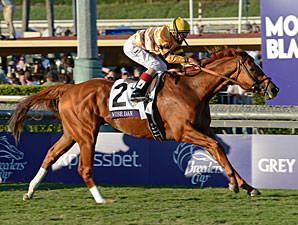 Wise Dan, o grande campeão dos Eclipse Awards