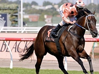 Black Caviar dá show em sua volta e com direito a record