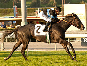 Brasileira In The Stars tira segundo em G2 para Mizdirection em Santa Anita