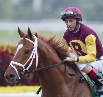 Fort Larned, ganhador da Breeder’s Cup Classic (G1), derruba o jóquei na largada do Gulfstream Park H. (G2), Discreet Dancer vence