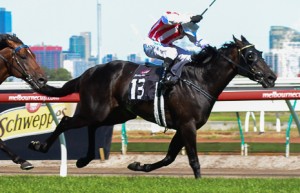 Os Australian Guineas (G1) foram de Ferlax, o New Zealand Derby (G1),da potranca Habibi