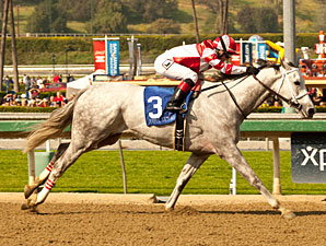 Great Hot entra quarto em Santa Anita em quatro que cruzaram o disco