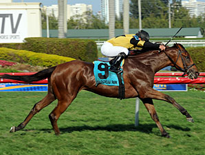 Twilight Eclipse vence em record mundial e Belo Acteon termina em quarto no Pan American Stakes (G2)