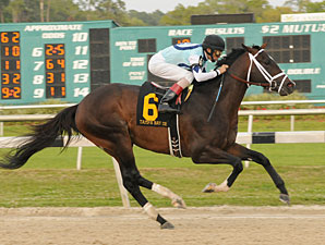 O Tampa Bay Derby (G2), em 1.700m, foi de Verrazano