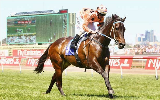 Amanhã tem Black Caviar em Moonee Valley