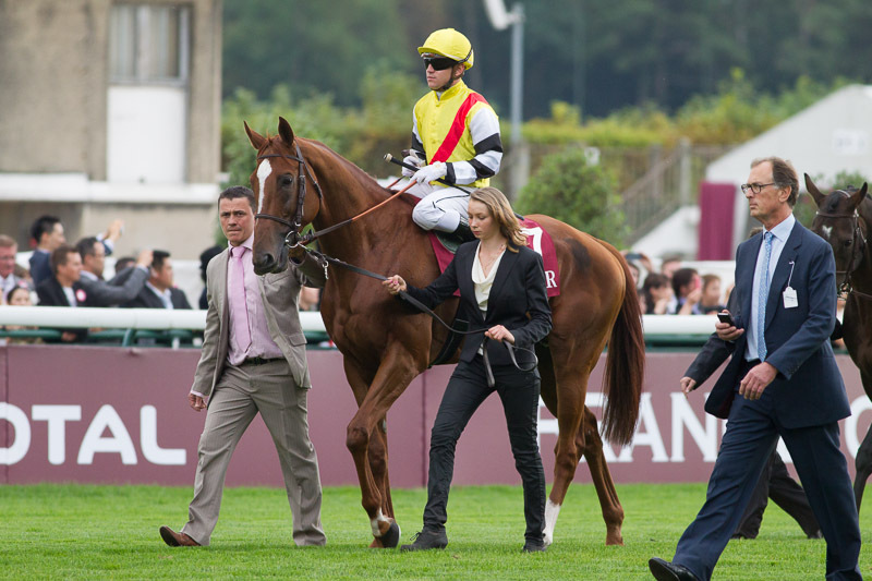 No Prix du Cadran, (G1), domingo, Going Somewhere parte da 3