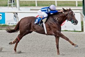 Brujo de Olleros e Great Hot, os brasileiros entre os pré-inscritos nas provas do Festival da Breeder’s Cup