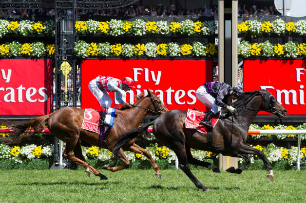 Fiorente é o ganhador da Melbourne Cup, a prova mais importante da Austrália