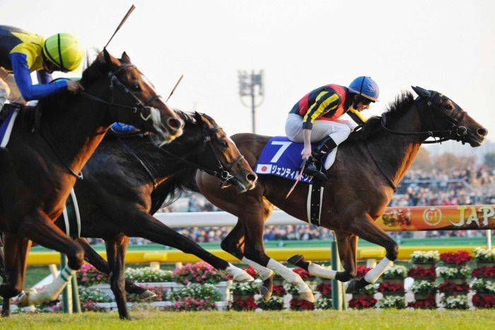 Gentildonna, a primeira grande bicampeã da Japan Cup (G1)