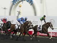 África do Sul domina a Godolphin Mile (G2). Resultado das outras provas de G2 em Dubai.