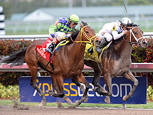 Florida Derby (G1), ontem, foi de Constitution