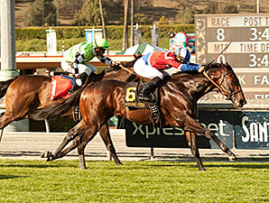 Argentinos brilharam em Santa Anita ontem. Game on Dude também.