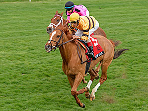 Wise Dan brilhou mais uma vez. Close Catches também.