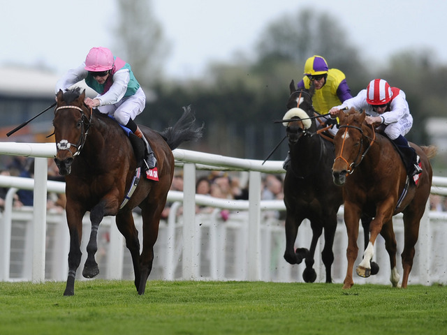 Show impressionante de Kingman no Greenham Stakes (G3), em Newbury