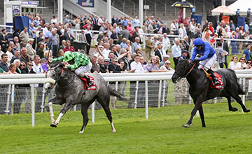 O importante trial Dante Stakes (G2), corrido em York, foi vencido por The Grey Gatsby