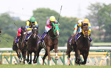 Nuovo Record venceu o Oaks japonês