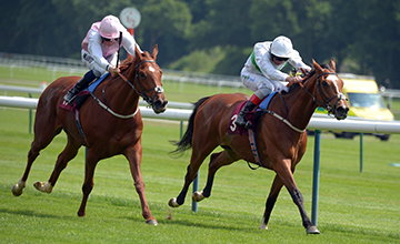 Em Haydock, Sultanina vence o Pinnacle Stakes (G3)