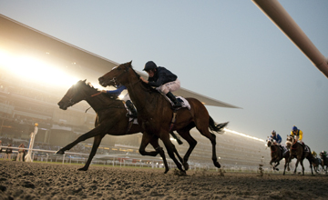 Fim do tapeta em Meydan: volta o “dirt”