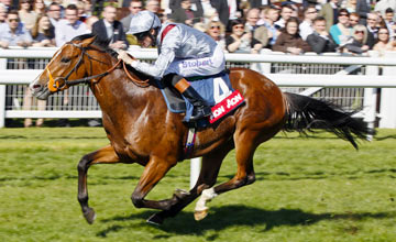 Olympic Glory dá show na importante milha do Lockinge Stakes (G1), em Newbury