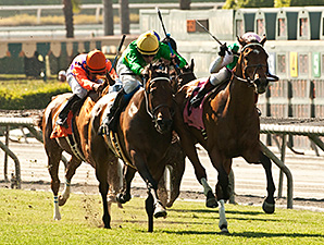 Argentina Miss Serendipity ganhou o Gamely Stakes (G1), em Santa Anita