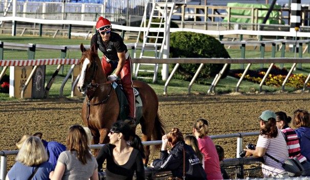 Campo e balizas do Preakness Stakes (G1) neste sábado em Pimlico