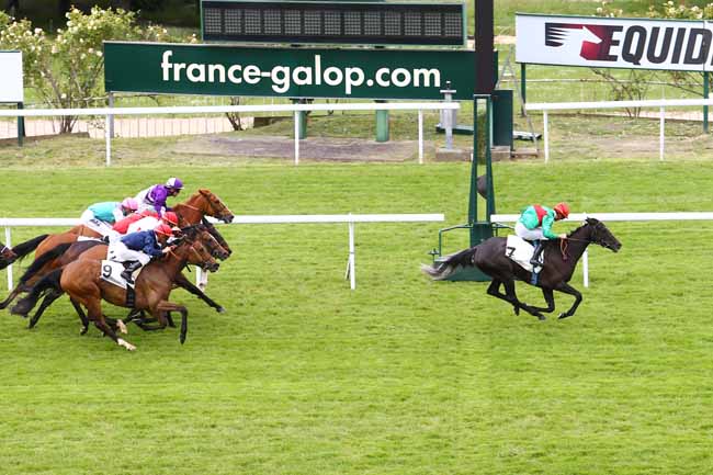 Siljan’s Saga venceu o Prix Corrida (G2). Gaga A terminou em oitavo