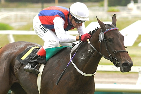 Potranca do Araras levanta, em San Isidro, o Gran Premio de Potrancas (G1)