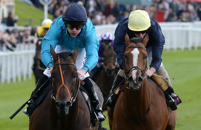 Brown Panther, de Michael Owen, brilha em G3 corrido em Chester