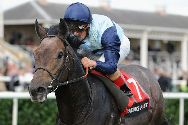 No Investec Derby Stakes (G1), sábado, em Epsom, dezesseis estarão na largada