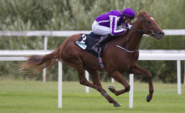 Australia e Kingston Hill estão entre os sete concorrentes ao Irish Derby